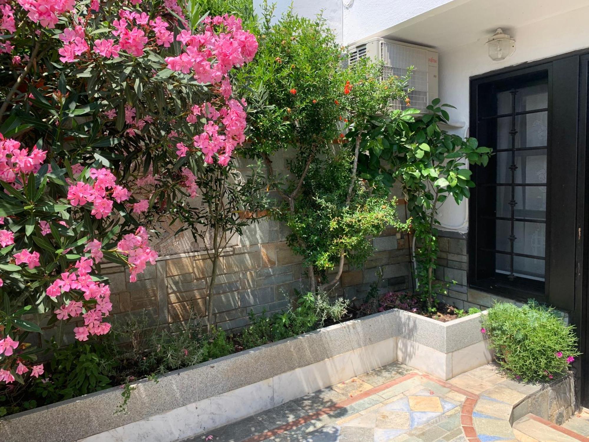Gemuetliches Appartement In Ano Poli Thessaloníki Eksteriør billede